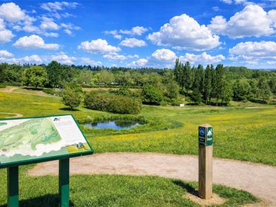 Picture 3
